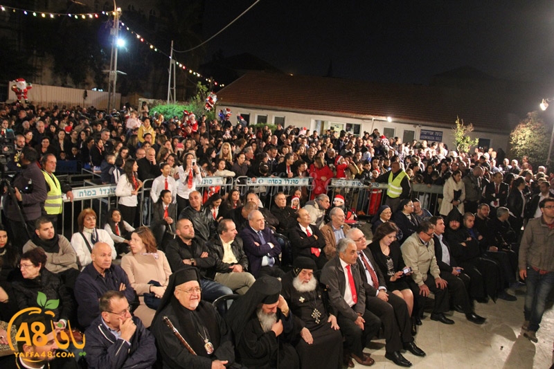 tree xrismass (1).JPG